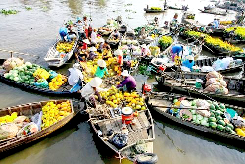 Khởi sắc trái cây đồng bằng